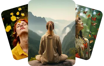 Meet Gini Mobile View