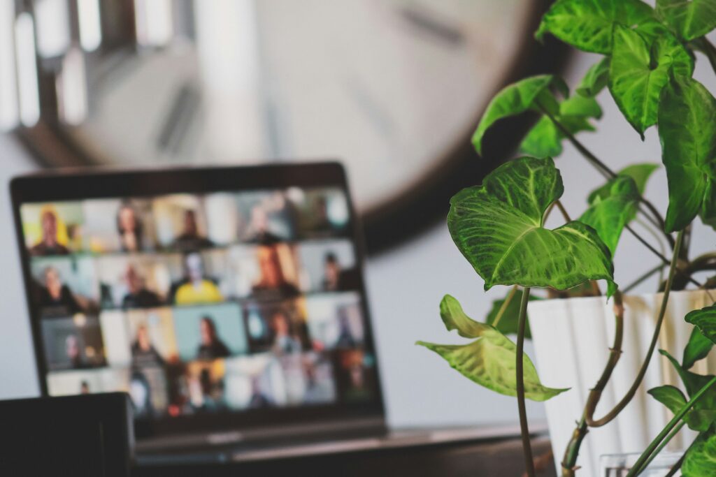 9 Clear Signs You Might Need Therapy 3 Laptop screen showing a virtual group session in progress, symbolizing remote support for those noticing signs you might need therapy, with a green indoor plant in the foreground